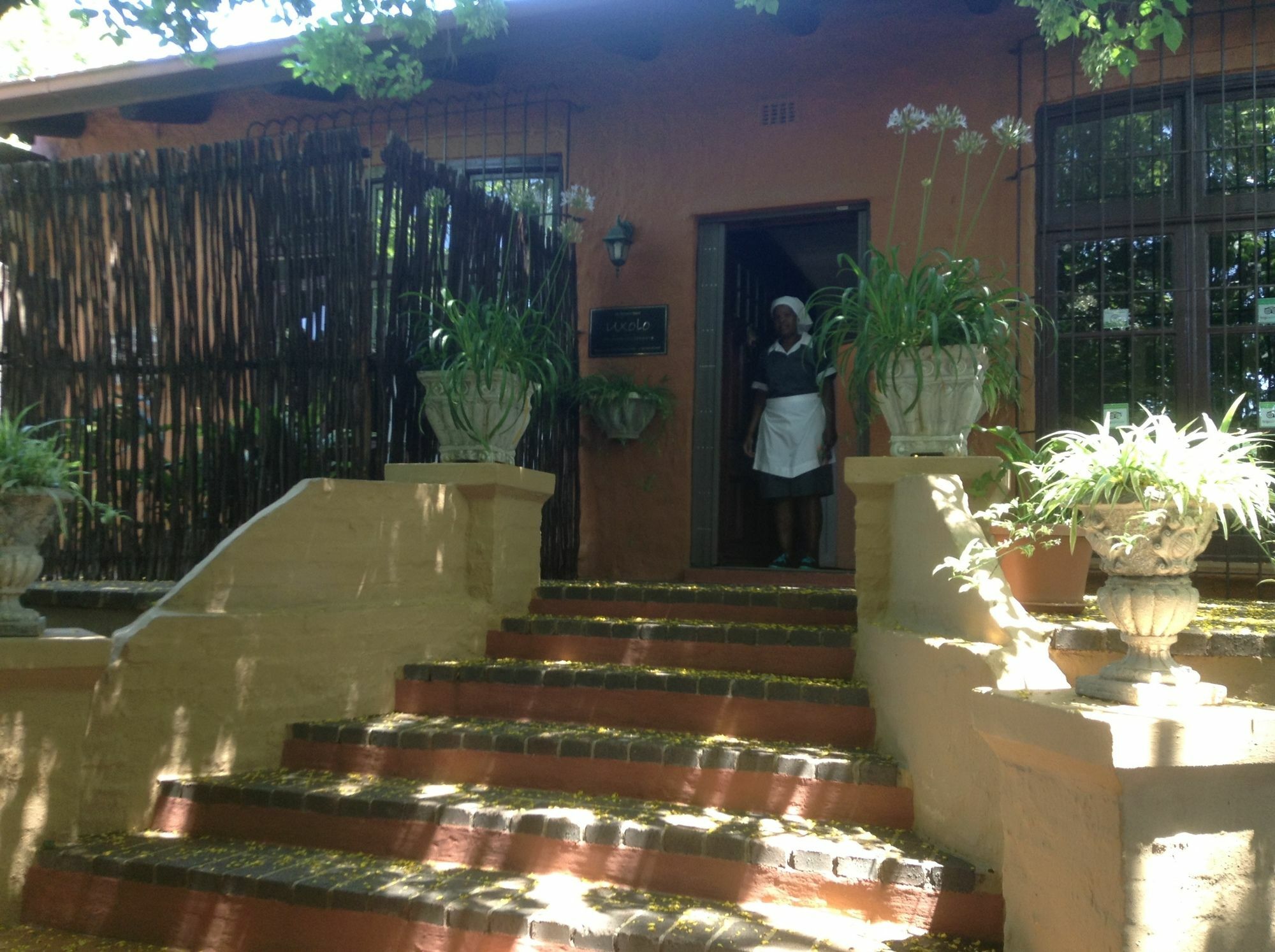 Charlie'S Spot - The Gardens Otel Johannesburg Dış mekan fotoğraf